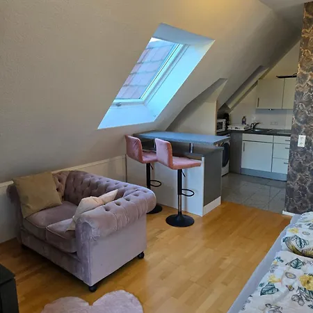 Ferienunterkunft Schwaebischer Wald Holiday home *